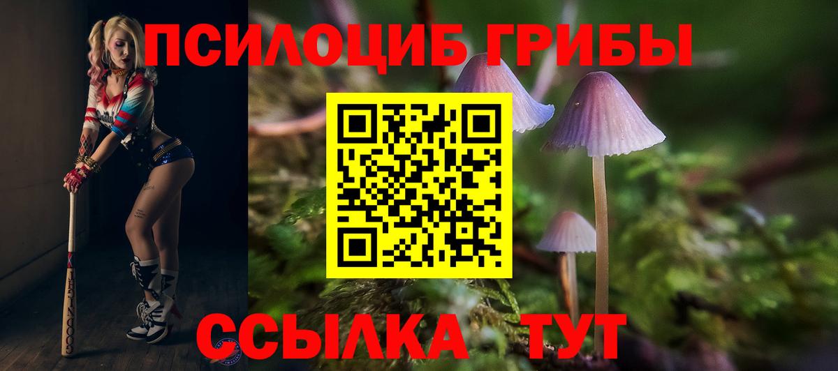 Галлюциногенные грибы мицелий Южно-Сахалинск